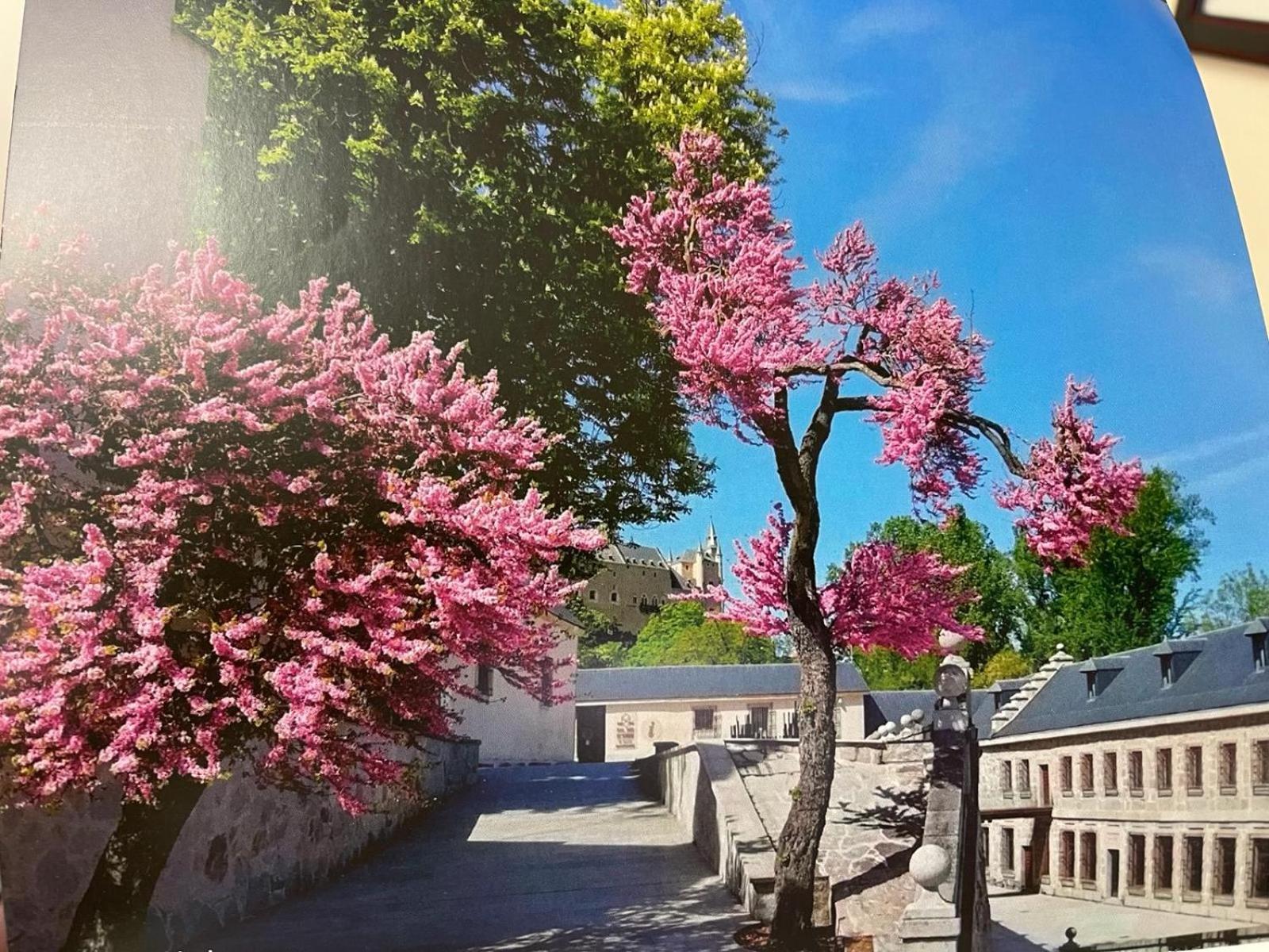El Jardin De La Alegria Villa Zamarramala Exterior foto